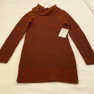 Fall/Winter Sweater Dress